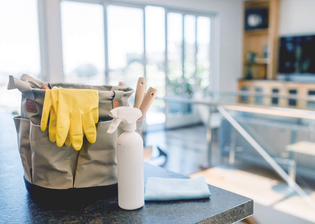 divi-cleaning-theme-3