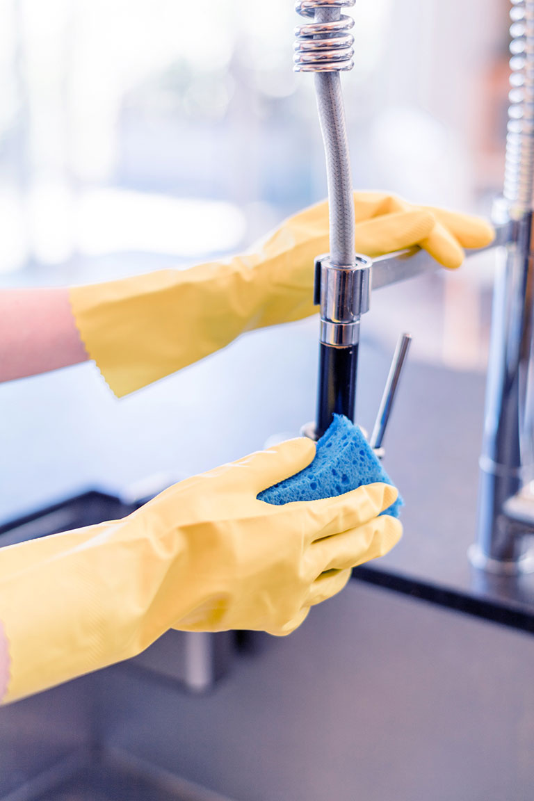 divi-cleaning-theme-8